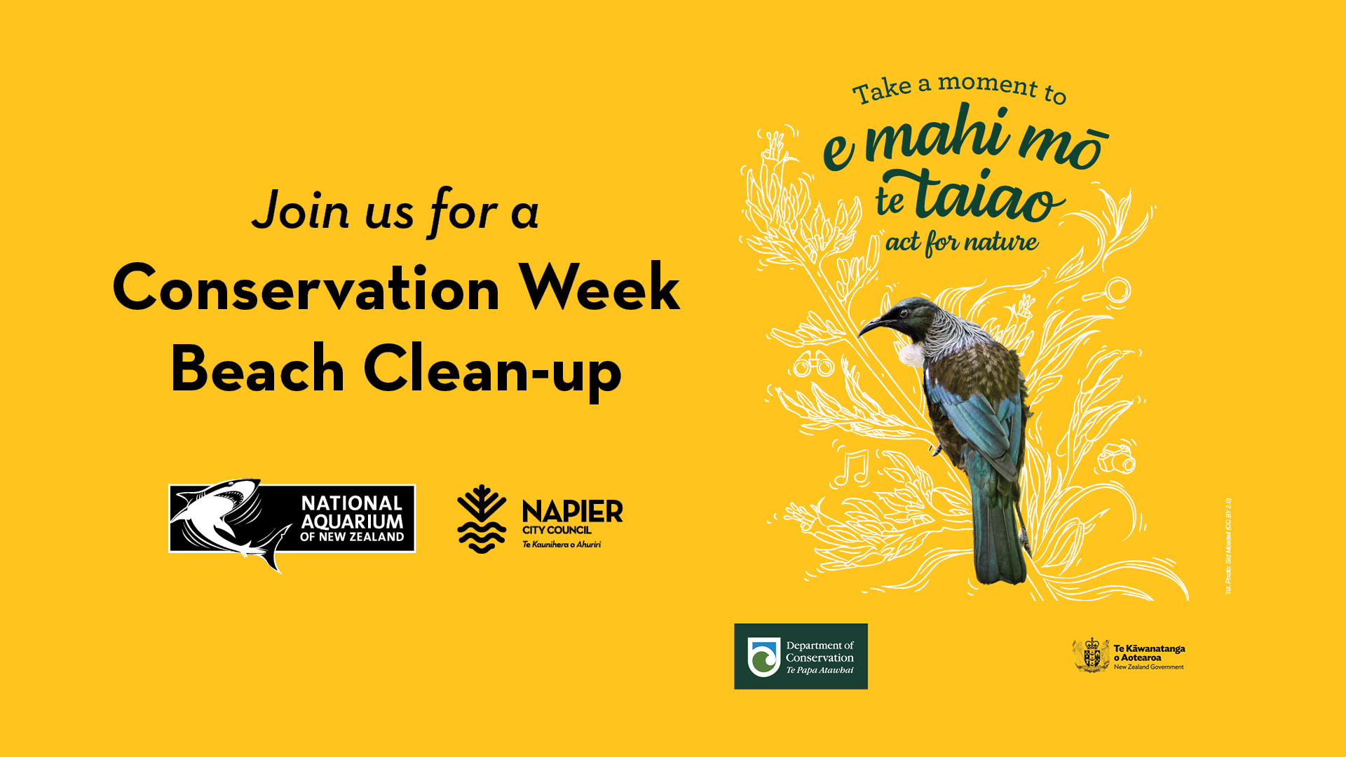 conservation-week-beach-clean-up-national-aquarium-of-new-zealand