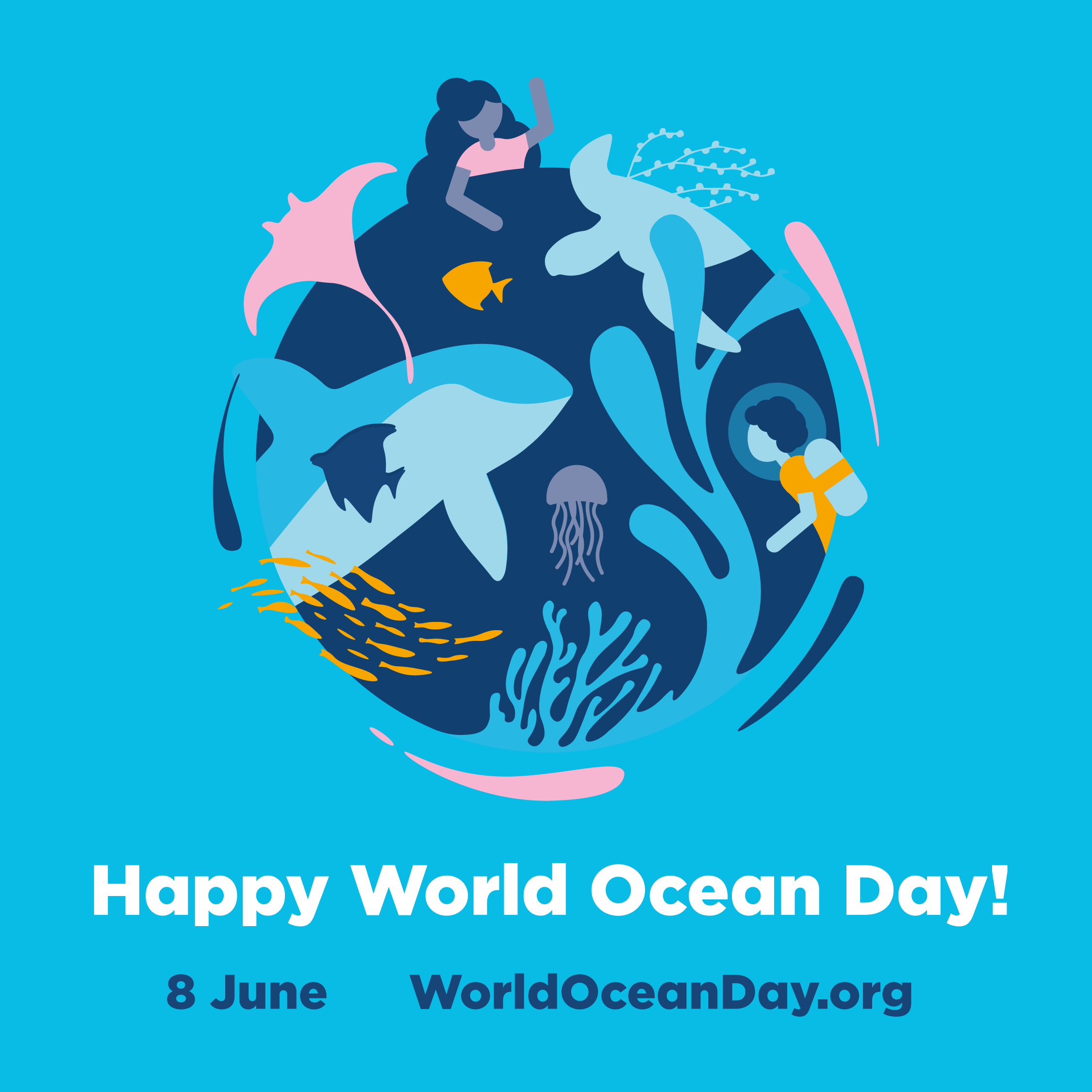Celebrate World Ocean Day with us! National Aquarium of New Zealand