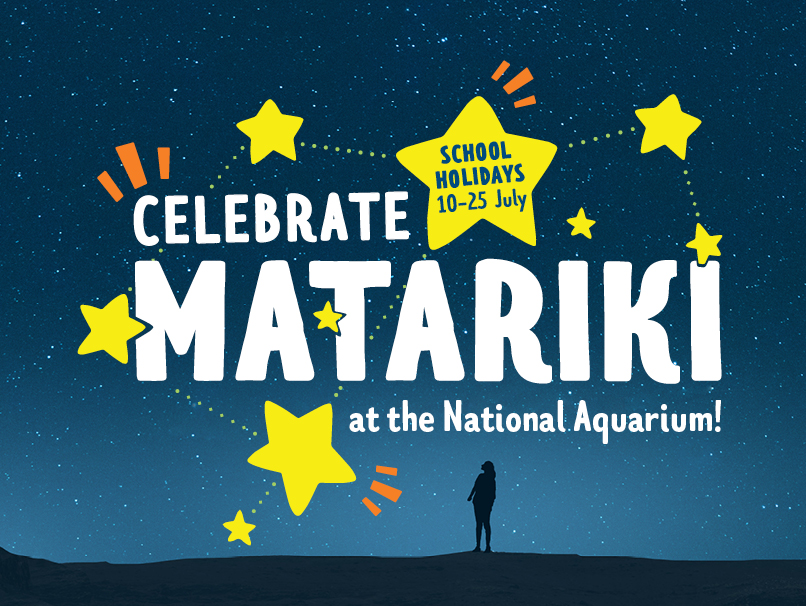 Celebrate Matariki at the... National Aquarium of New Zealand