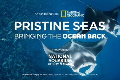 National Geographic exhibition opens at the National Aquarium!