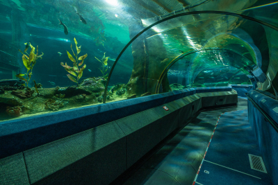 Come and farewell the Aquarium's travelator