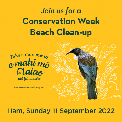 Beach Clean up Graphics6