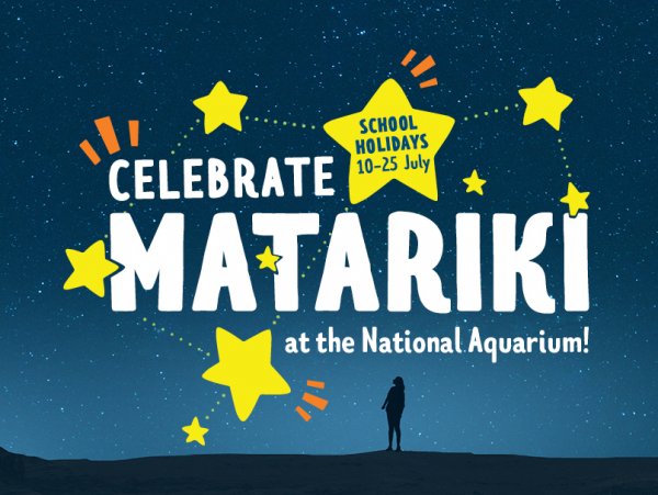 Matariki ENewsletter 72dpi